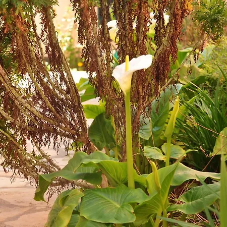 Apartamento Kralj Privlaka (Zadar)