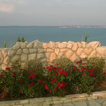 Kralj