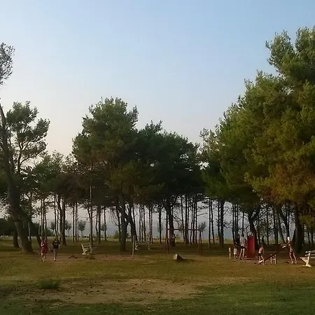 Kralj Privlaka (Zadar)