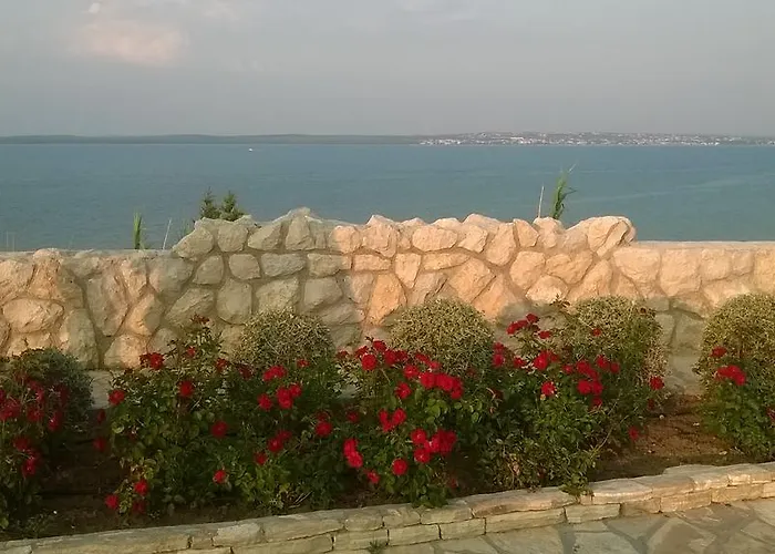 Kralj