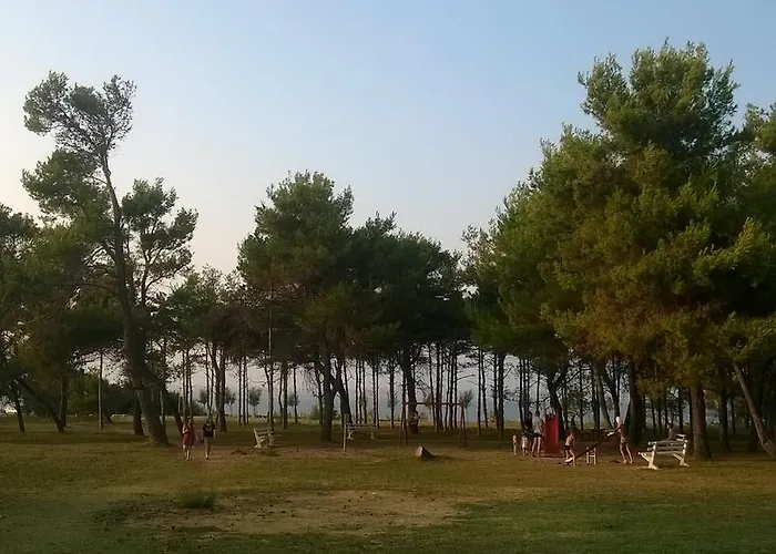 Kralj Privlaka (Zadar)